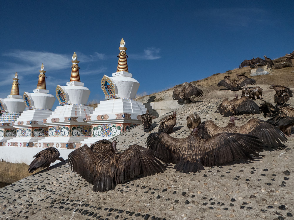 Tibet vautours rituels funéraires dakinis charnier rite mort religion bouddhisme funérailles célèstes